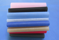 三沙涤纶（PET）无纺布是什么